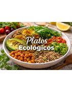 VEGAN AND ORGANIC DISHES